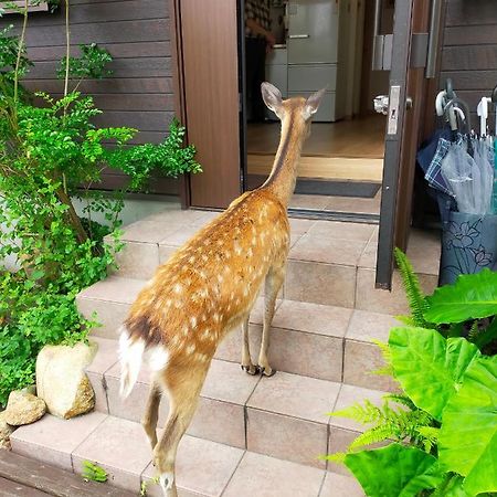 Deer Hostel- - 外国人向け - 日本人予約不可 Nara Exterior foto